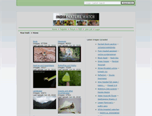 Tablet Screenshot of indianaturewatch.net